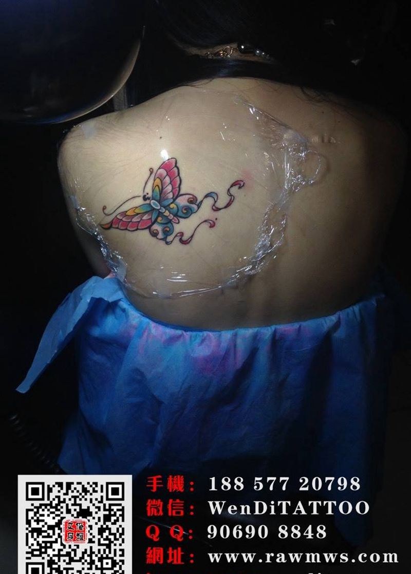 蝴蝶纹身图片_成品背部传统清新动物纹身图案