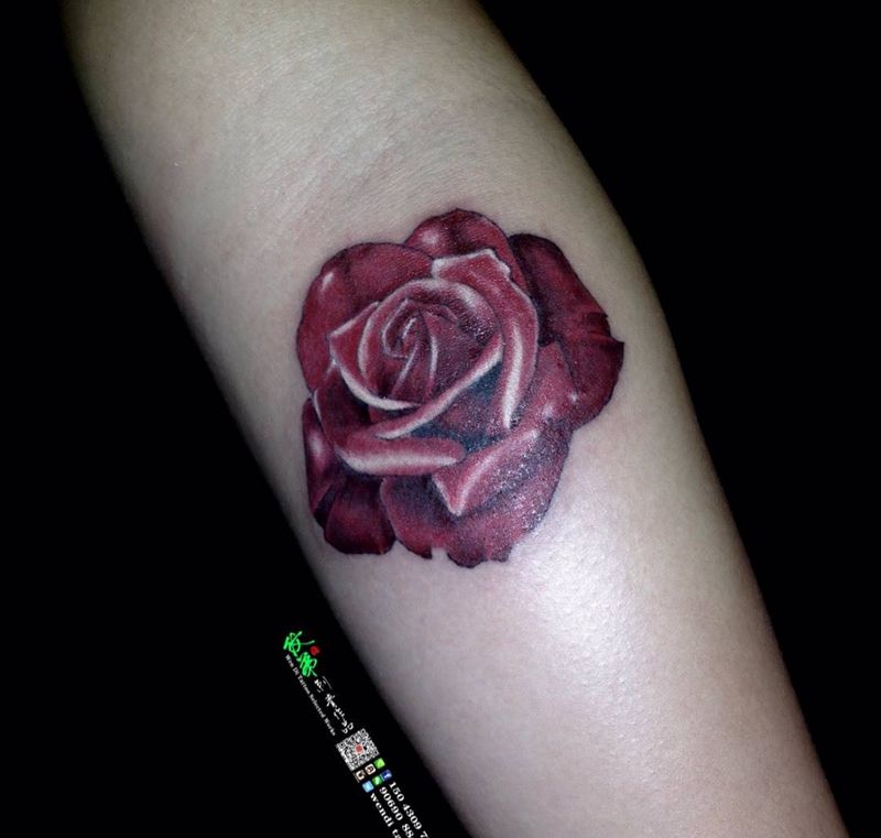 红玫瑰纹身图片_成品手臂欧美植物纹身图案