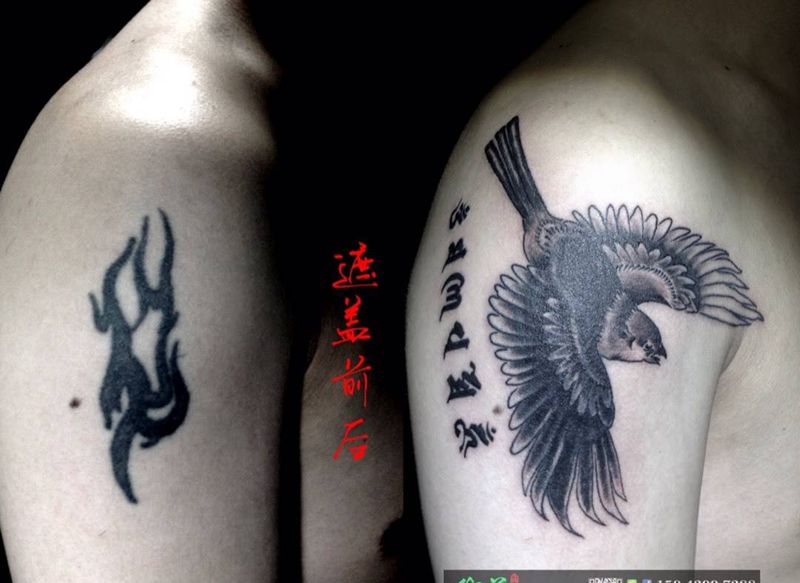 遮盖纹身图片_成品肩部传统动物修改遮盖纹身图案