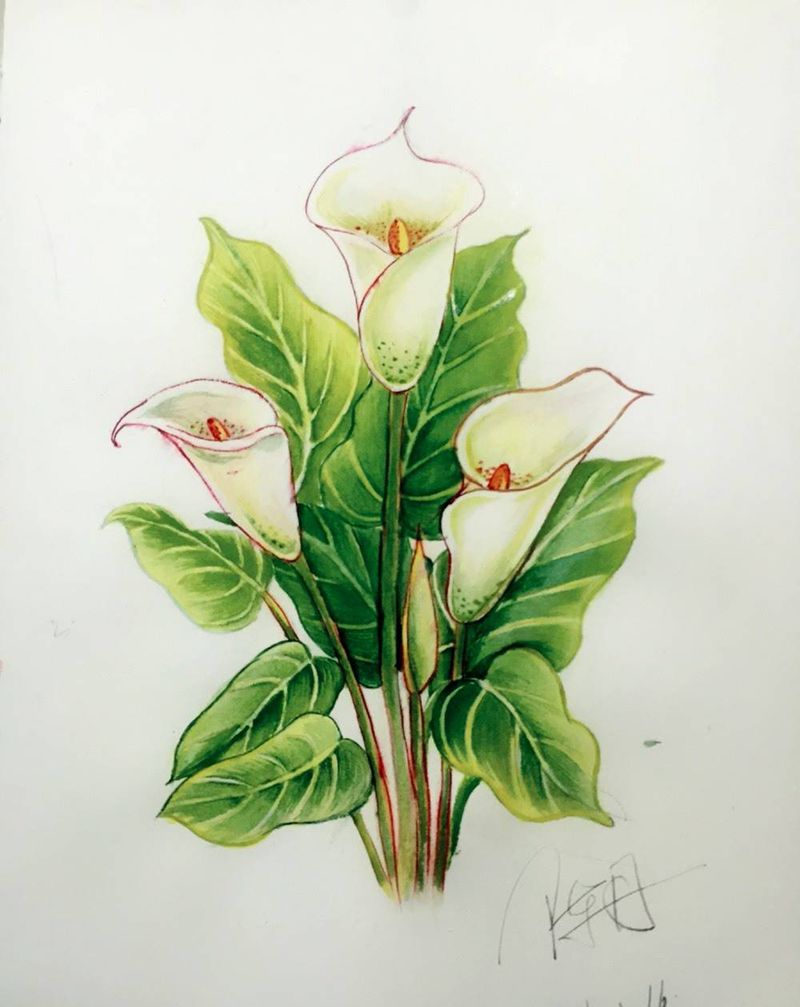 手绘纹身图片_插画纹身图案