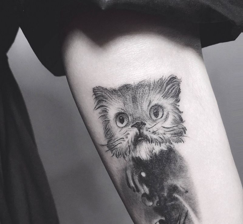 猫纹身图片_手臂猫纹身图案