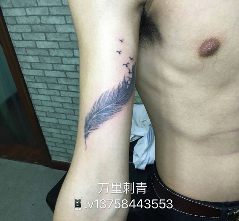 羽飞燕纹身图片