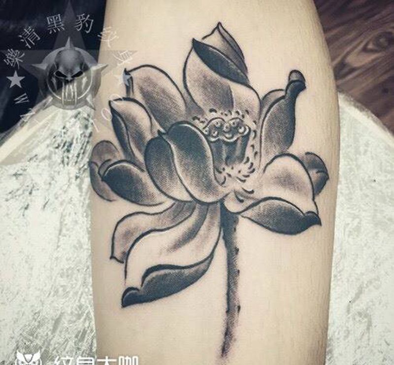莲花纹身图片