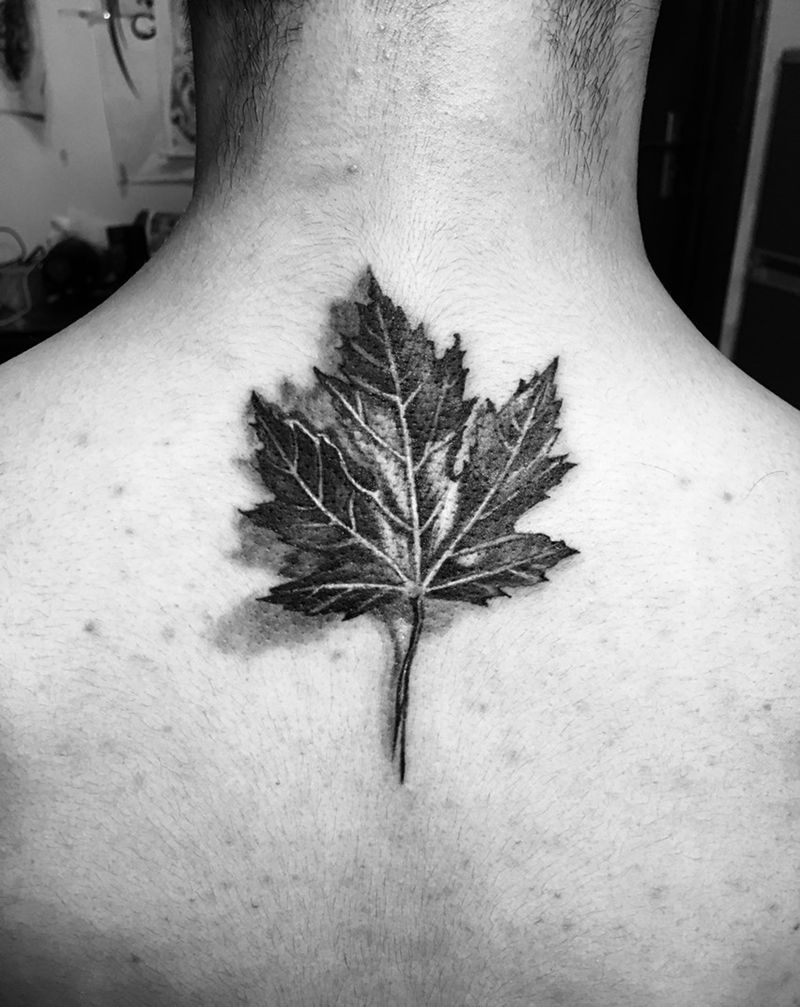 枫叶纹身图片