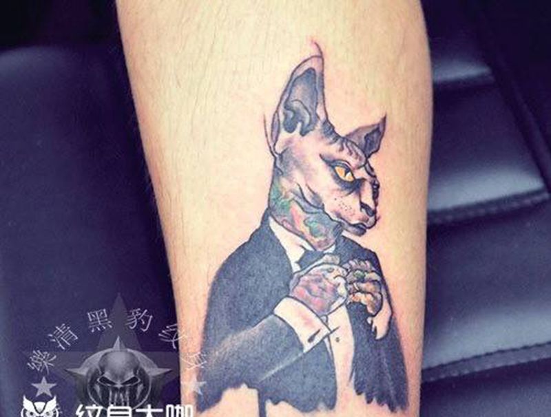 无毛猫纹身图片