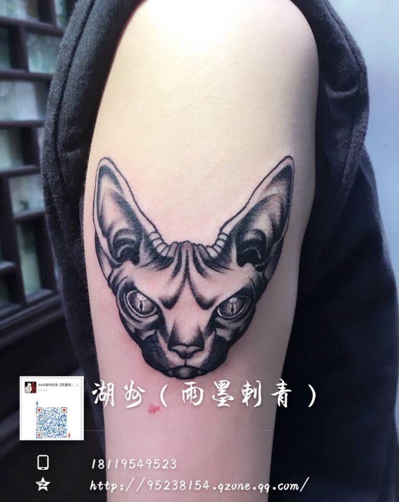 猫纹身图片