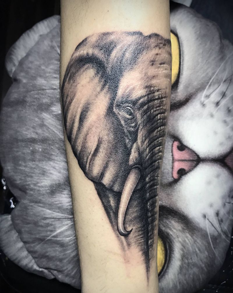 象纹身图片_手臂纹身图案