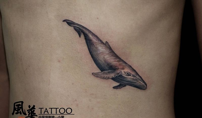 拯救不开心纹身图片_腹部腰部点刺欧美写实鲸鱼鱼纹身图案