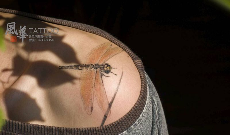 趣纹身图片_肩部新传统水墨蜻蜓纹身图案