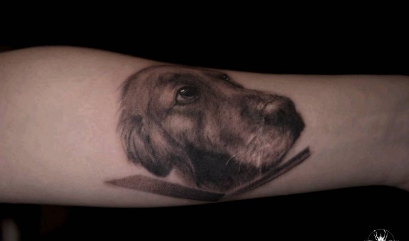 金毛狗狗纹身图片_手臂点刺欧美写实纹身图案