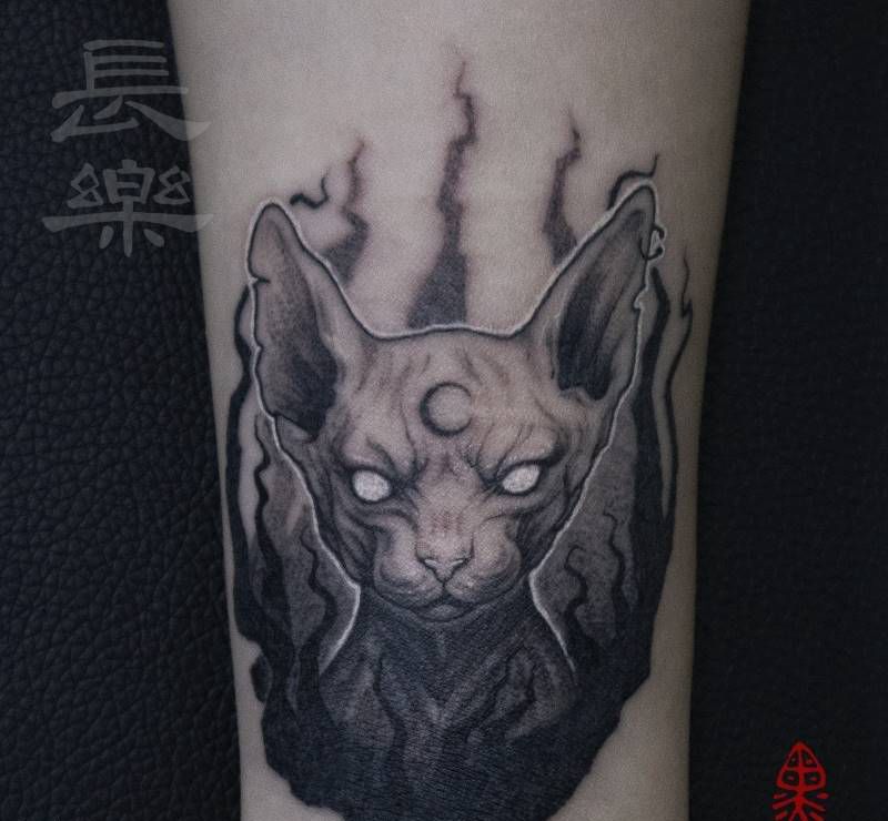 【】纹身图片_手臂手部欧美写实点刺猫纹身图案