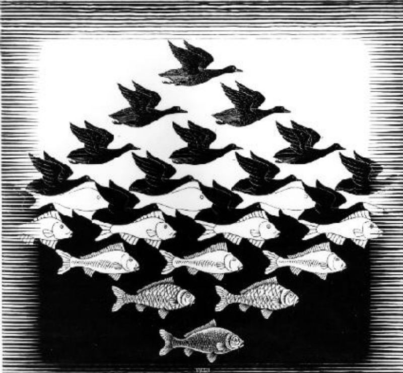 鱼和鸟纹身图片_成品手臂欧美几何动物纹身图案