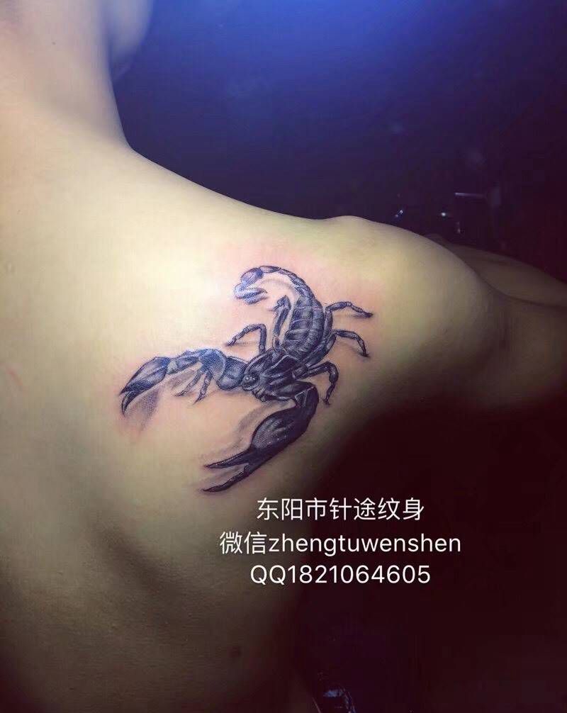 蝎子纹身图片