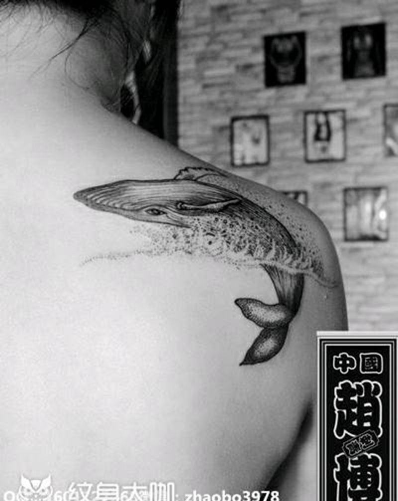 鲨鱼纹身纹身图片_肩部清新动物成品纹身图案