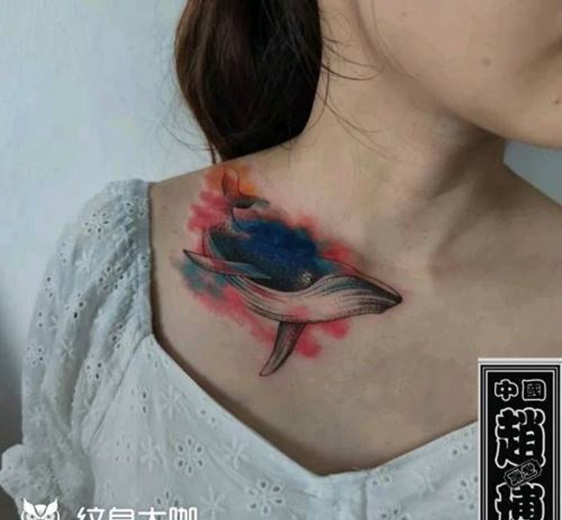 鲨鱼纹身纹身图片_胸部肩部水彩鲨鱼纹身图案