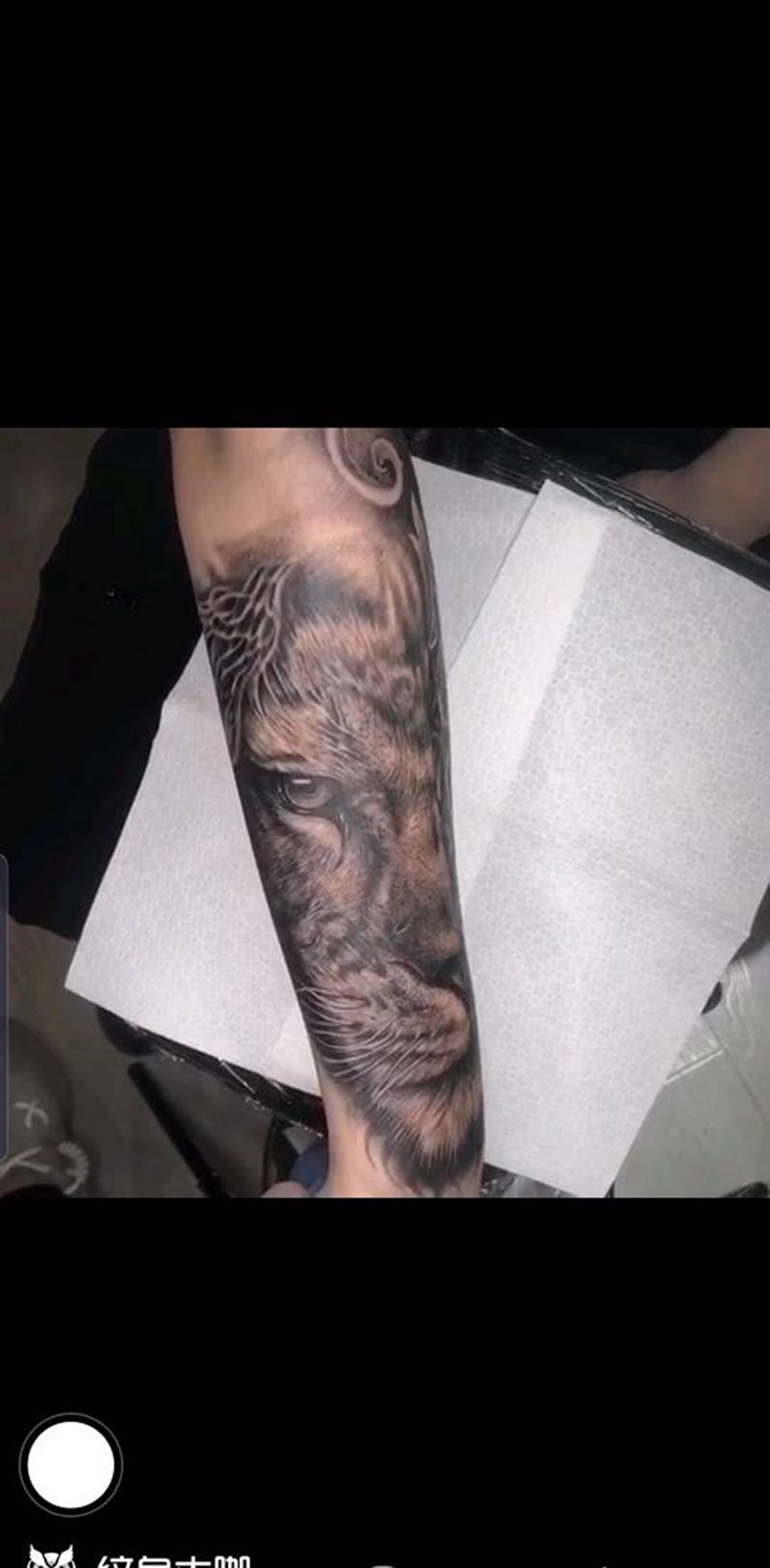 狮子纹身图片_手臂欧美写实纹身图案