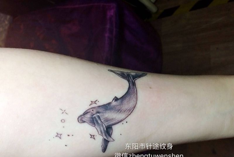 鲸鱼纹身图片