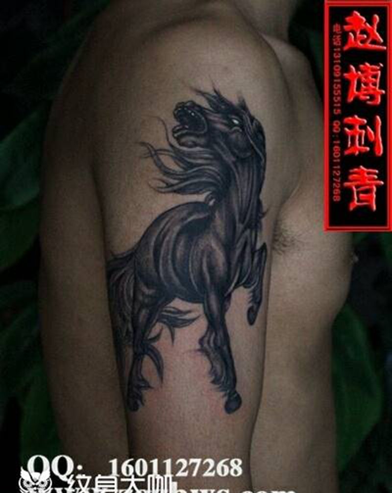 骏马纹身纹身图片_肩部传统动物成品纹身图案