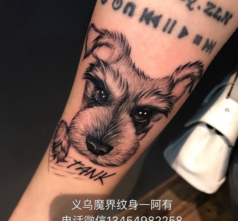设计狗狗雪纳瑞纹身图片_手部手臂欧美写实New School狗狗雪纳瑞小狗纹身图案
