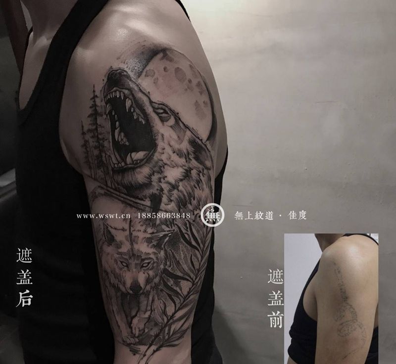 遮盖狼纹身图片_成品手臂遮盖动物欧美原创招生培训无上纹图纹身图案
