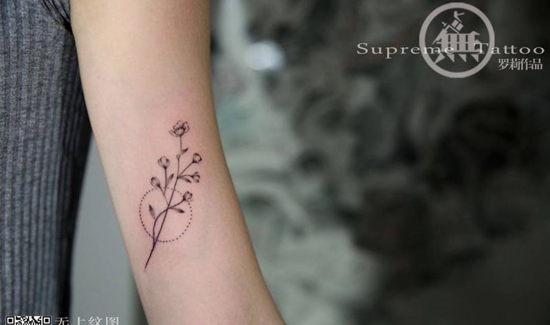 小纹身纹身图片_成品手臂欧美清新植物动物图腾无上纹图生活纹身图案