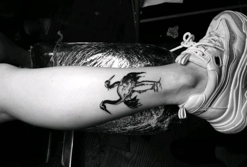 鹤纹身图片