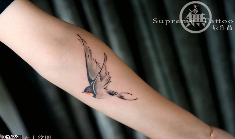 燕子纹身图片_成品手臂传统清新动物图腾贴纸无上纹图生活纹身图案