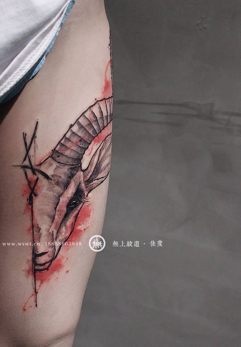 羚羊纹身图片_成品腿部欧美清新动物原创图腾无上纹图招生学习纹身图案