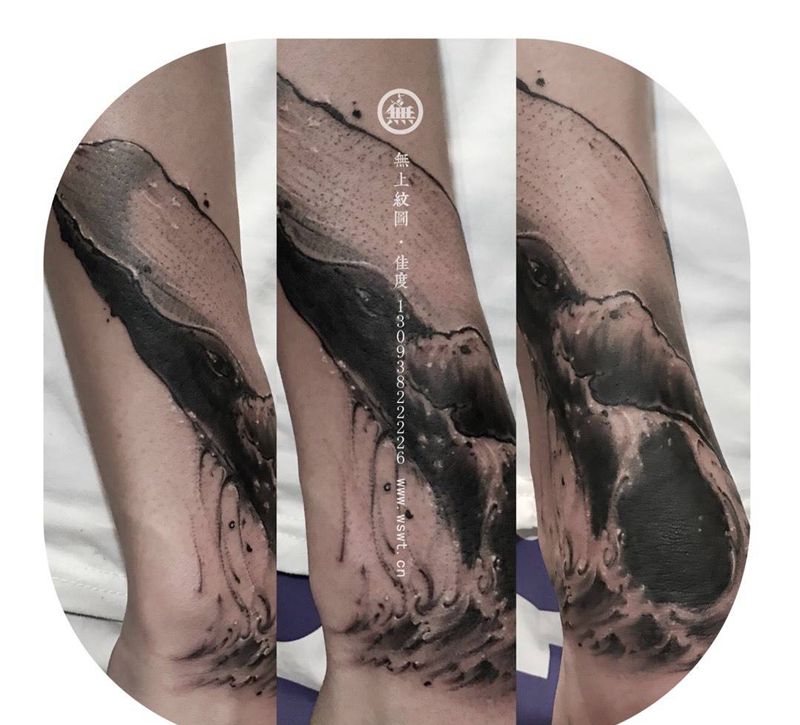 鲸鱼遮盖纹身图片_成品手臂欧美原创无上纹图培训学习纹身图案