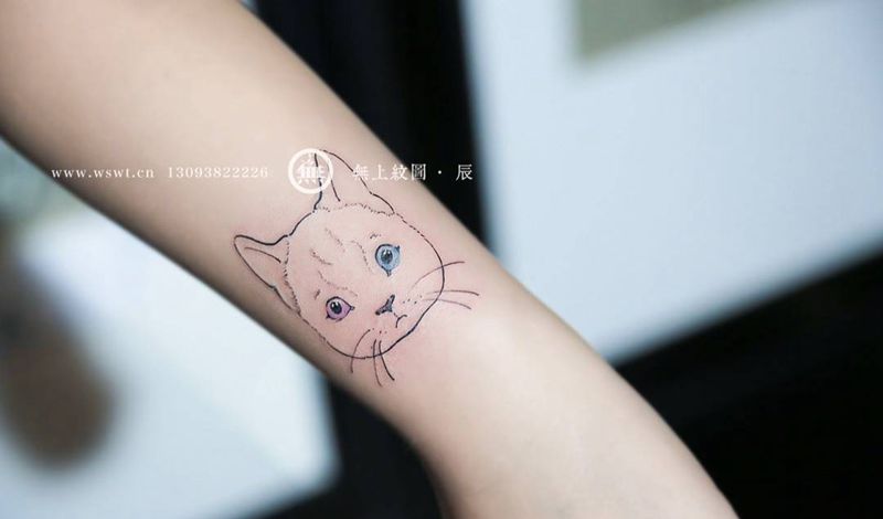 喵咪纹身纹身图片_成品手部动物清新无上纹图培训纹身图案