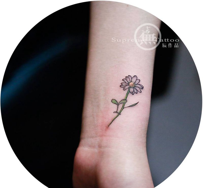 手腕添加花纹身图片_成品手臂欧美清新植物图腾无上纹图招生手稿纹身图案