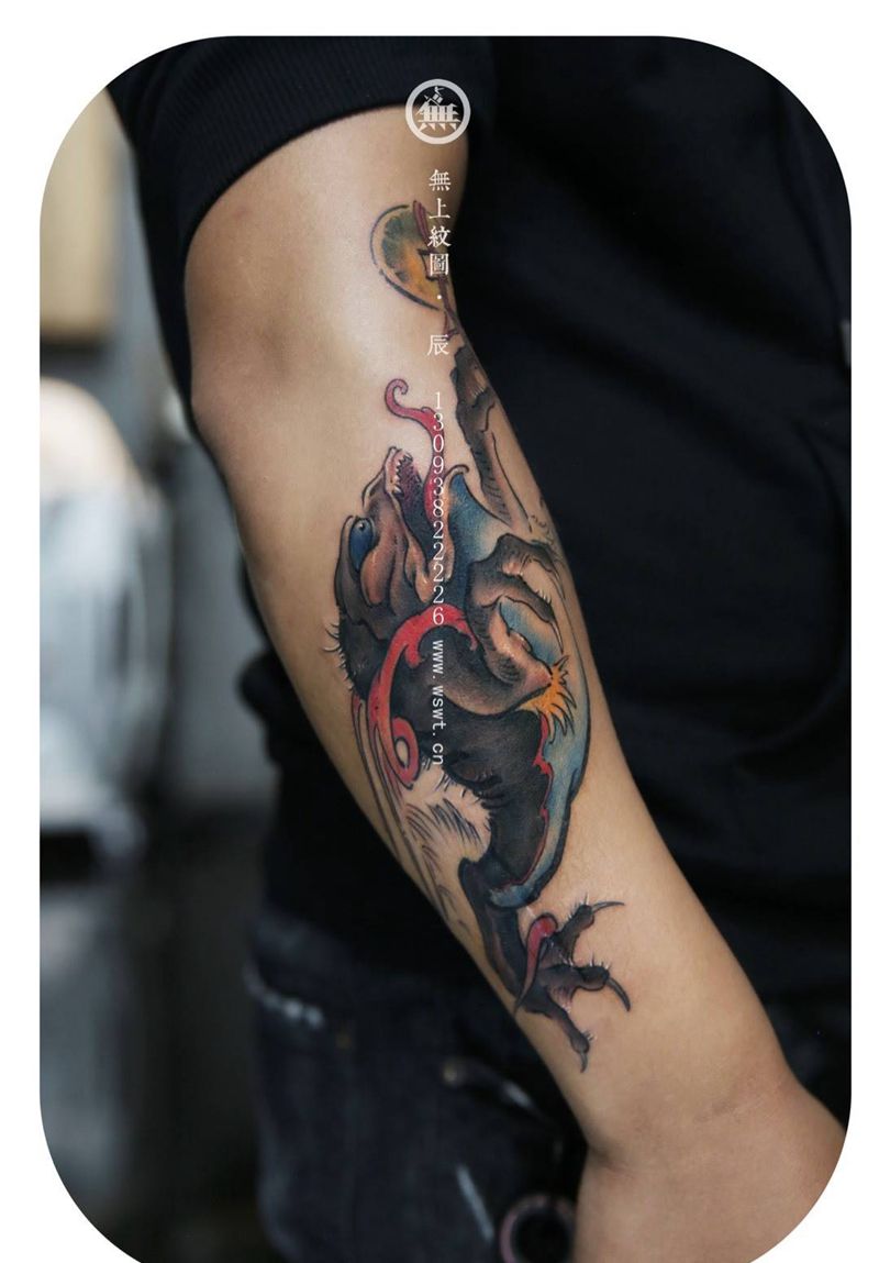 手臂-三足金蟾纹身图片_成品手臂传统动物无上纹图纹身图案