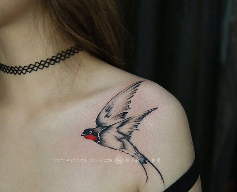燕子纹身图片_成品胸部欧美清新动物图腾无上纹图手稿培训招生纹身图案