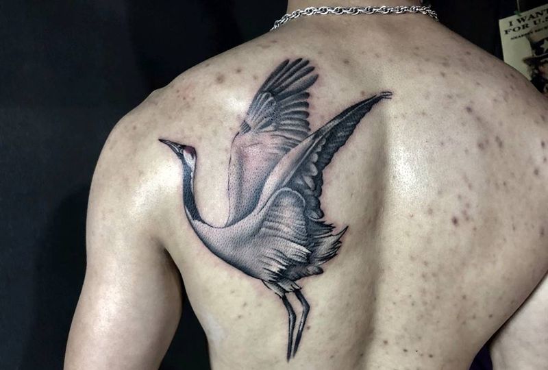 鹤纹身图片_水墨纹身图案