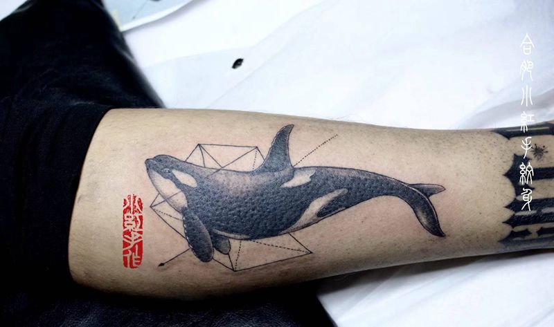 小鲸鱼纹身图片_手臂欧美写实几何纹身图案