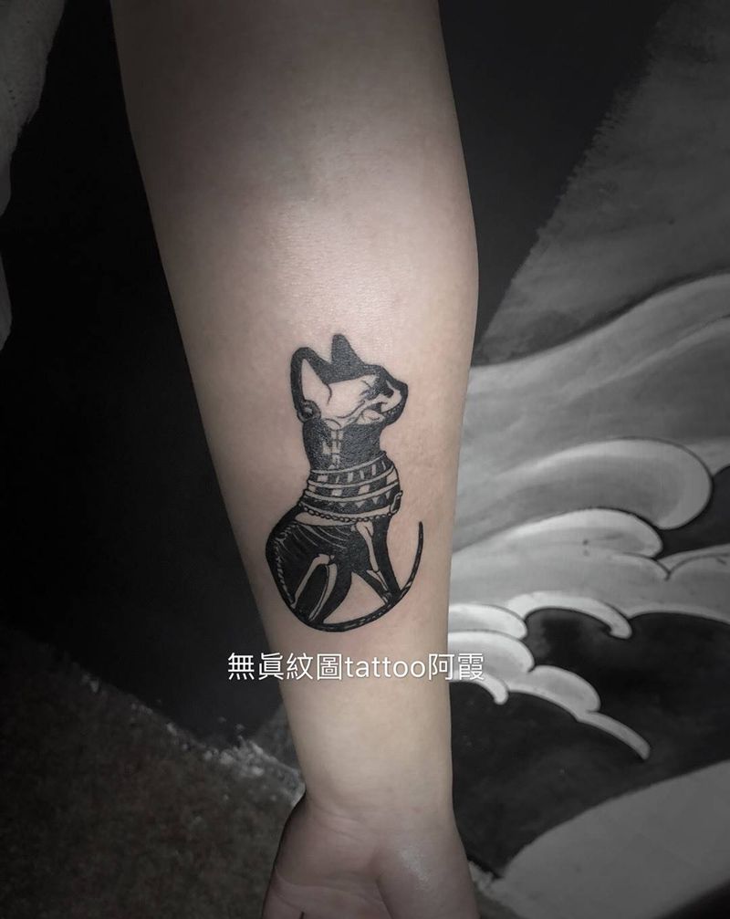 无毛猫纹身图片