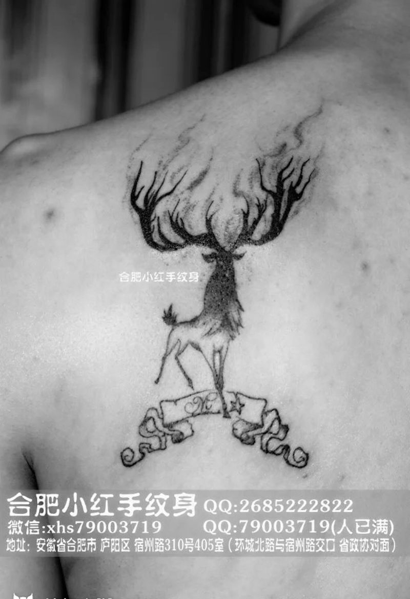 后背雄鹿纹身图片