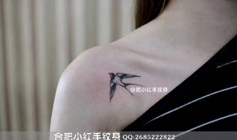 小作燕子纹身图片