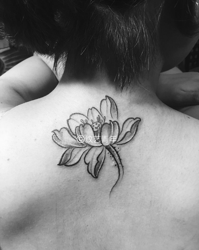 小荷花纹身图片