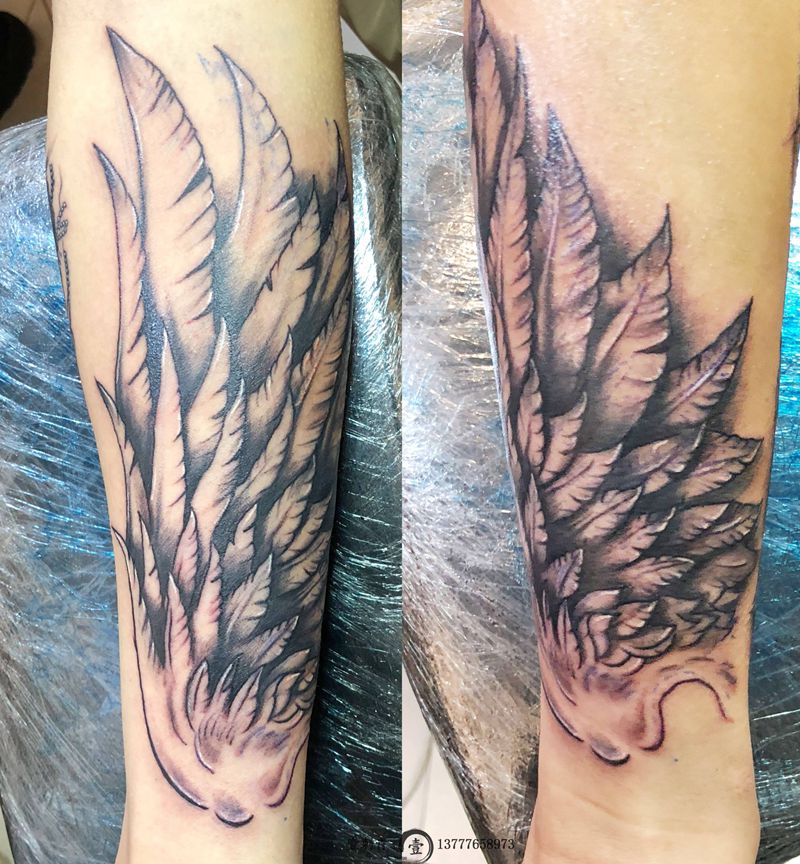 翅膀纹身图片