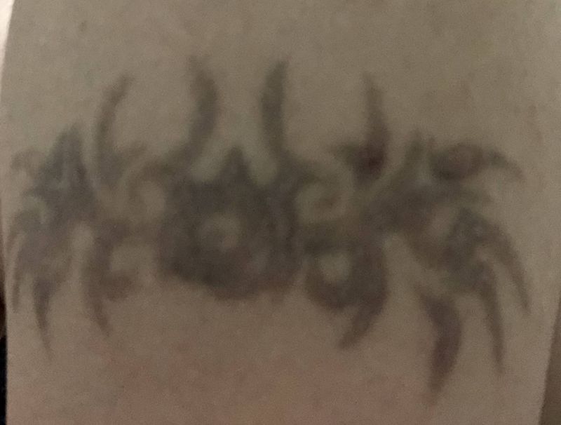 设计遮盖图纹身图片_手臂花体字奇卡诺海鸥纹身图案