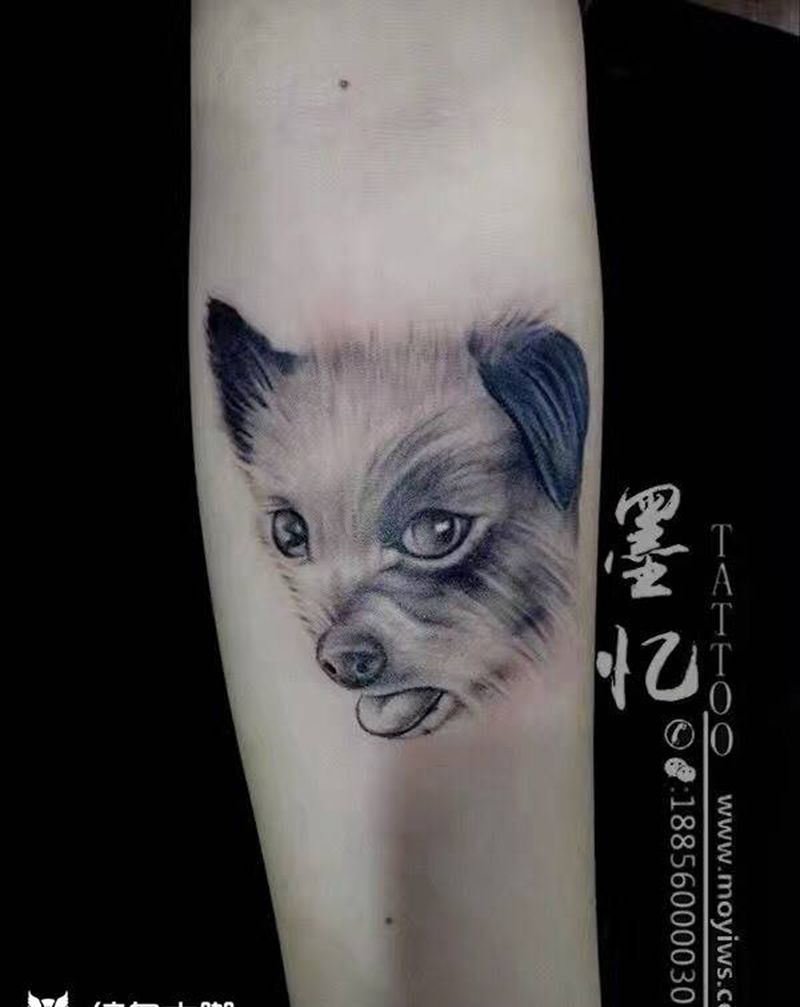 顾客家的小狗纹身图片_动物清新写实传统手臂纹身图案