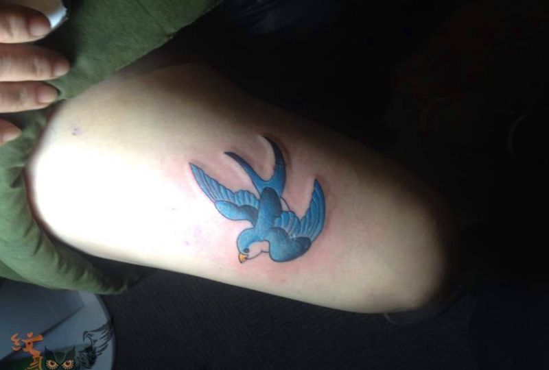 盖疤纹身图片_欧美动物腿部纹身图案