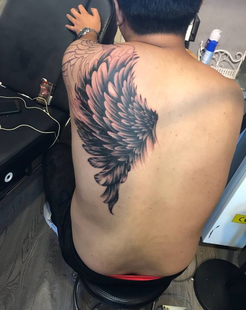 梦的翅膀，不能受伤