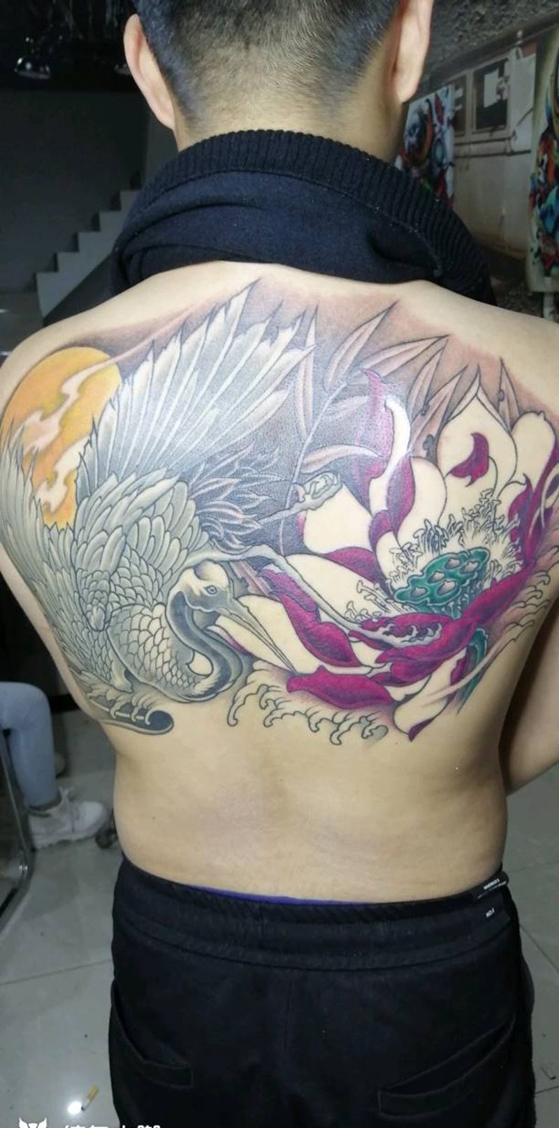 鹤 荷花纹身图片_背部胸部新传统老传统纹身图案