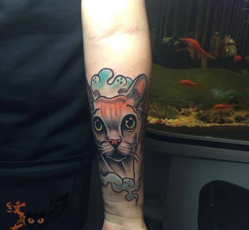 猫纹身图片_欧美动物手臂纹身图案