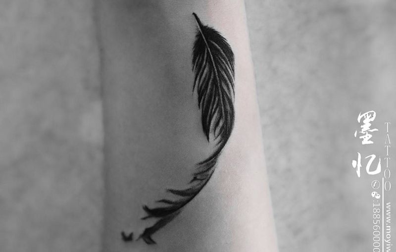 遮盖羽毛纹身图片