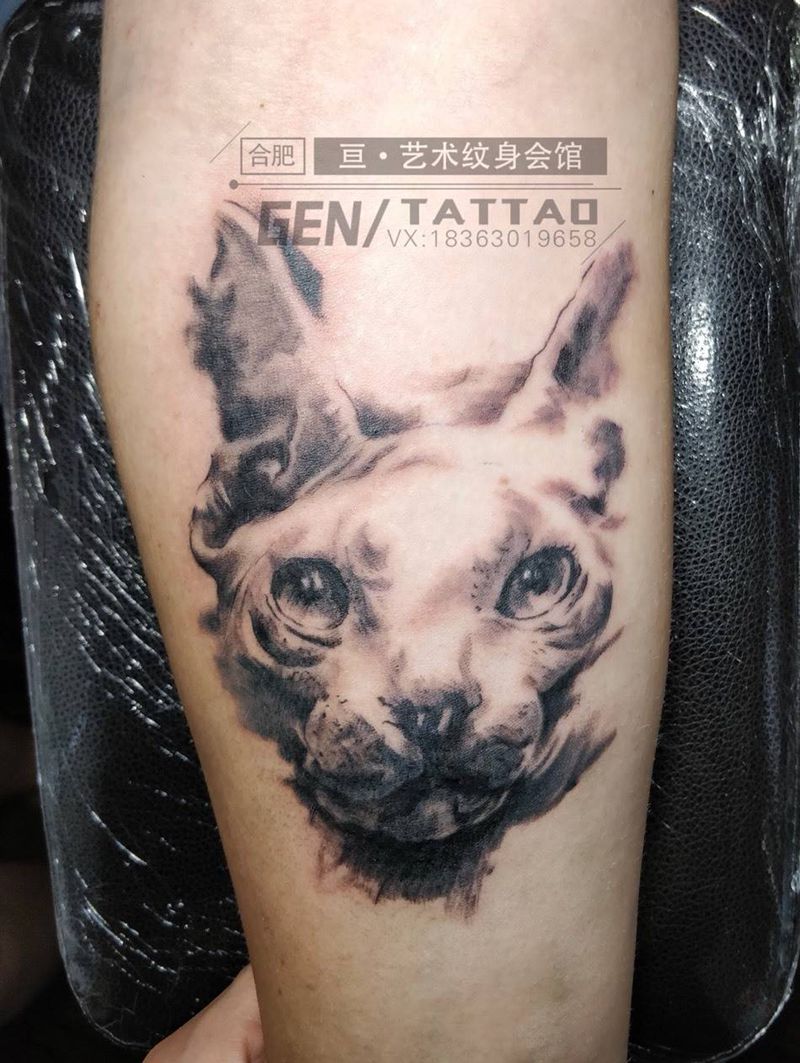 写实猫纹身图片
