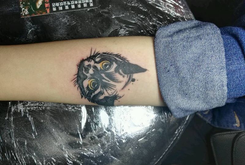 小猫，纹身图片_肩部胸部腰部背部手臂腿部传统清新动物成品纹身图案