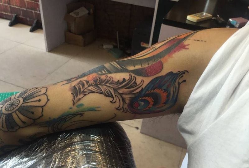 孔雀翎纹身图片_手臂成品肩部腰部欧美传统动物静物纹身图案